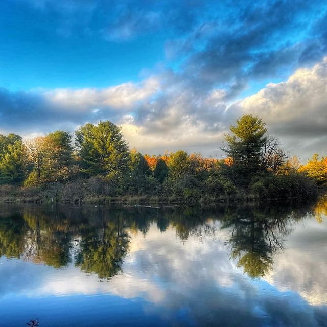 Lezley Woodhams Photography | 32 Cockburn St, Norland, ON K0M 2L0, Canada | Phone: (416) 948-9156
