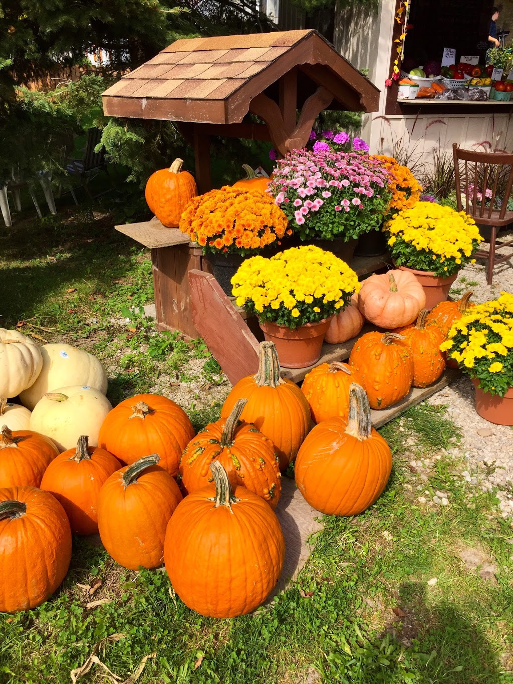Countryside Values | Kincardine, ON N0G 2R0, Canada | Phone: (519) 395-3593