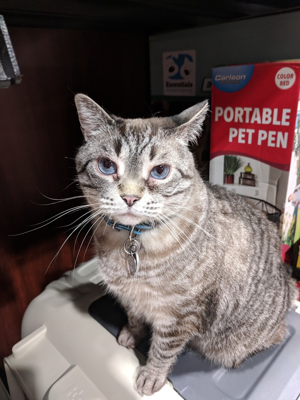Pet Valu | 3838 Innes Rd, Orléans, ON K1W 0C8, Canada | Phone: (613) 590-7814