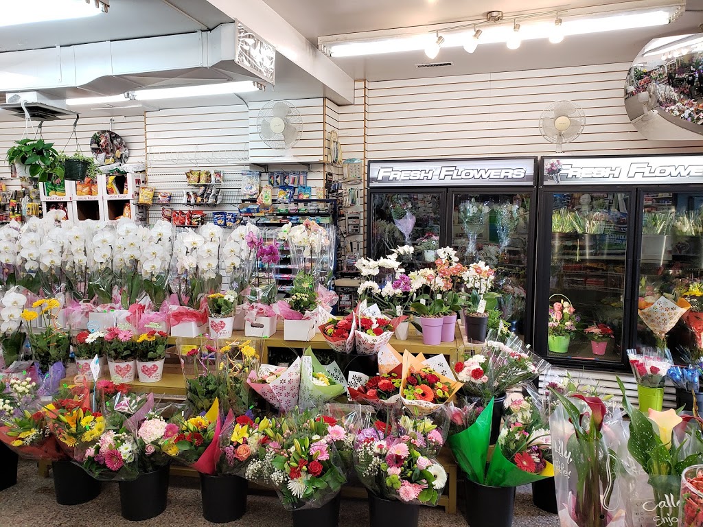 Sunny Express | 885 Hamilton Rd, London, ON N5Z 1V8, Canada | Phone: (519) 451-6474