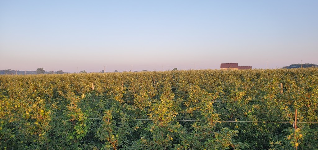 Shuh Orchards Apple Stand | 6515 Line 86, West Montrose, ON N0B 2V0, Canada | Phone: (519) 497-2204