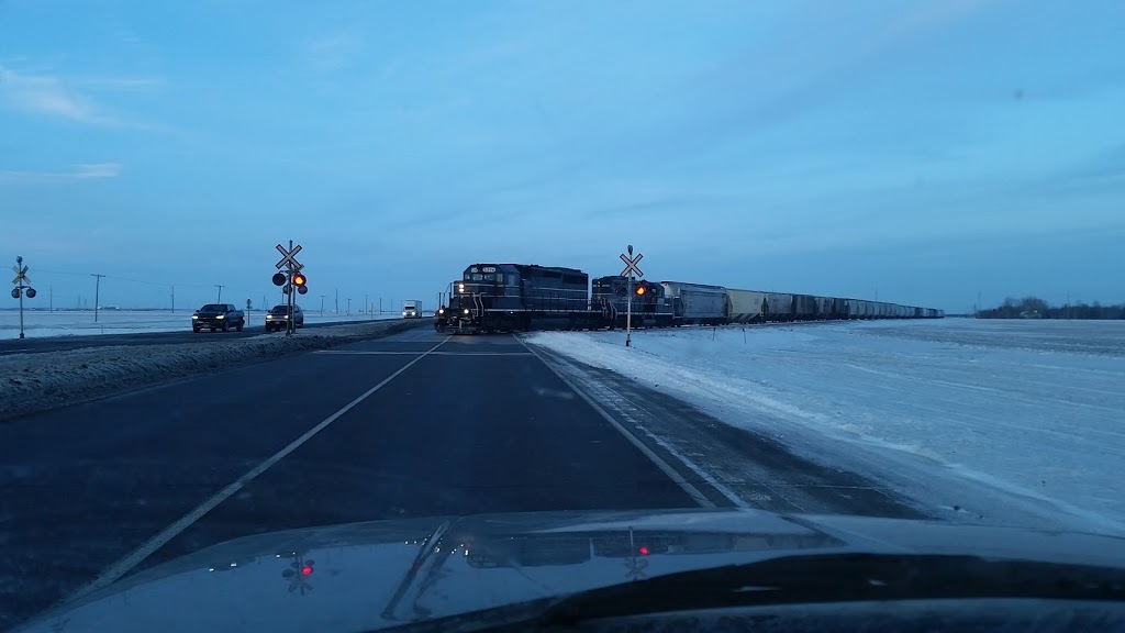 Wildwood Transport Inc. | 100 Oakland Rd, Oak Bluff, MB R4G 0A4, Canada | Phone: (204) 957-8866