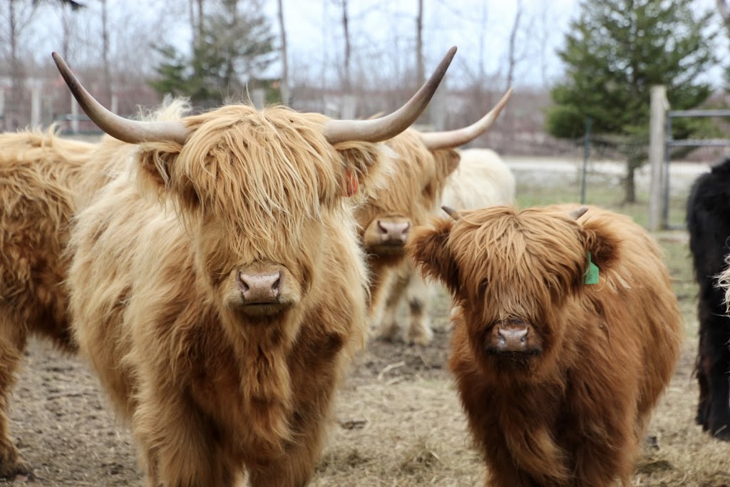 BENTHORN FARMSTEAD | 510 Municipal Rd, Sauble Beach, ON N0H 2G0, Canada | Phone: (519) 378-4486