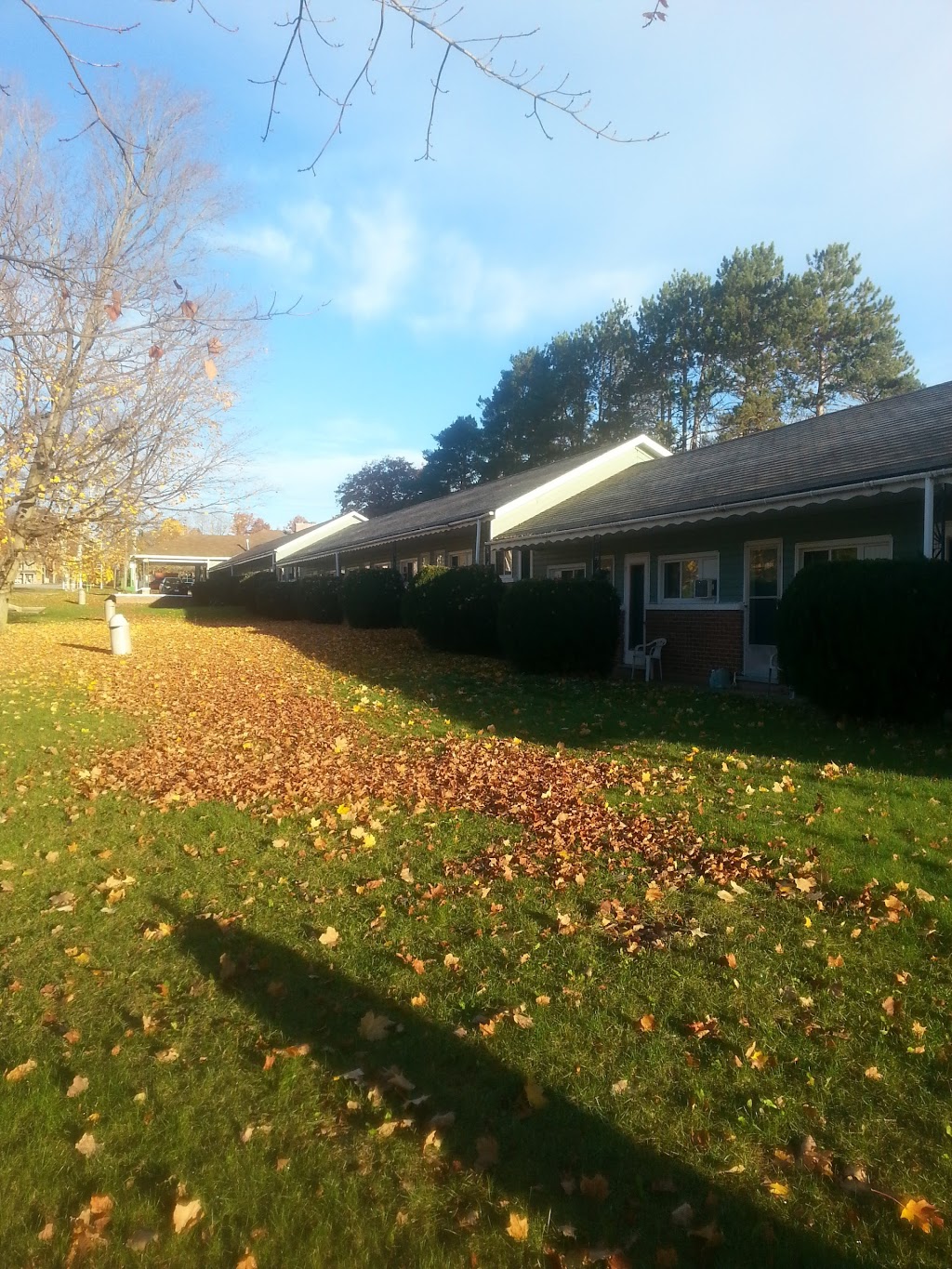 Shamrock Motel | 955 Yonge St, Midland, ON L4R 2E9, Canada | Phone: (705) 526-7851