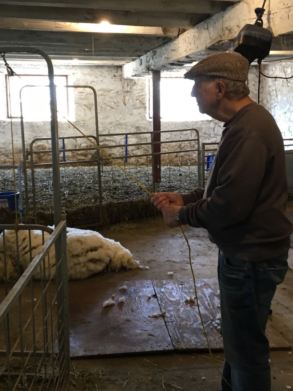 Valensbrae Sheep Farm | 1527 97, Puslinch, ON N0B 2J0, Canada | Phone: (905) 659-7253