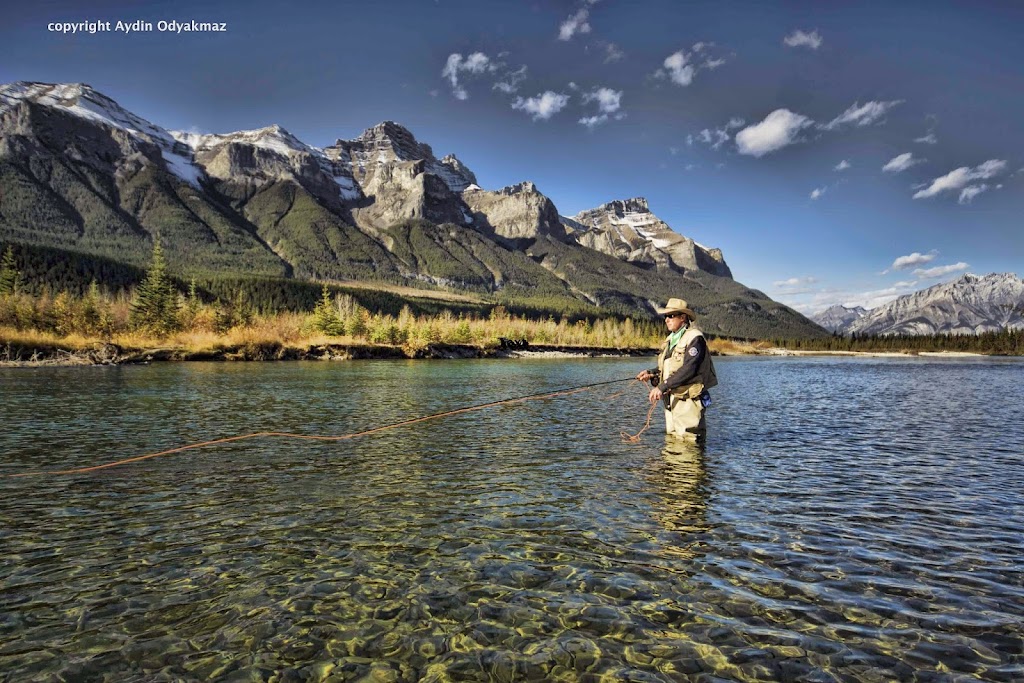 Aydin Productions Ltd. | 159 Cougar Point Rd, Canmore, AB T1W 1A1, Canada | Phone: (403) 678-0339