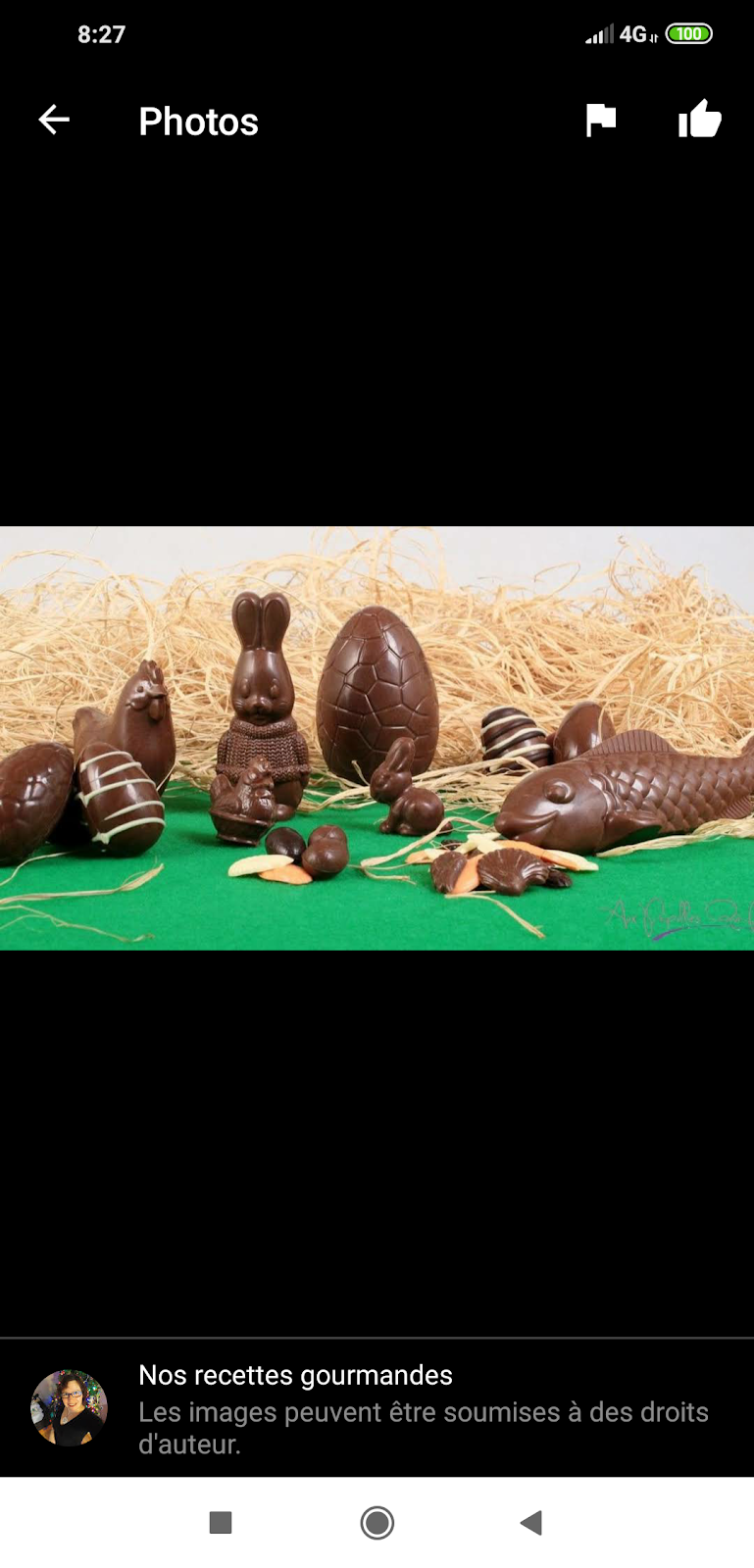 Nos recettes gourmandes | 969 Pl. Gérard lEspérance, McMasterville, QC J3G 6S2, Canada | Phone: (450) 281-1647