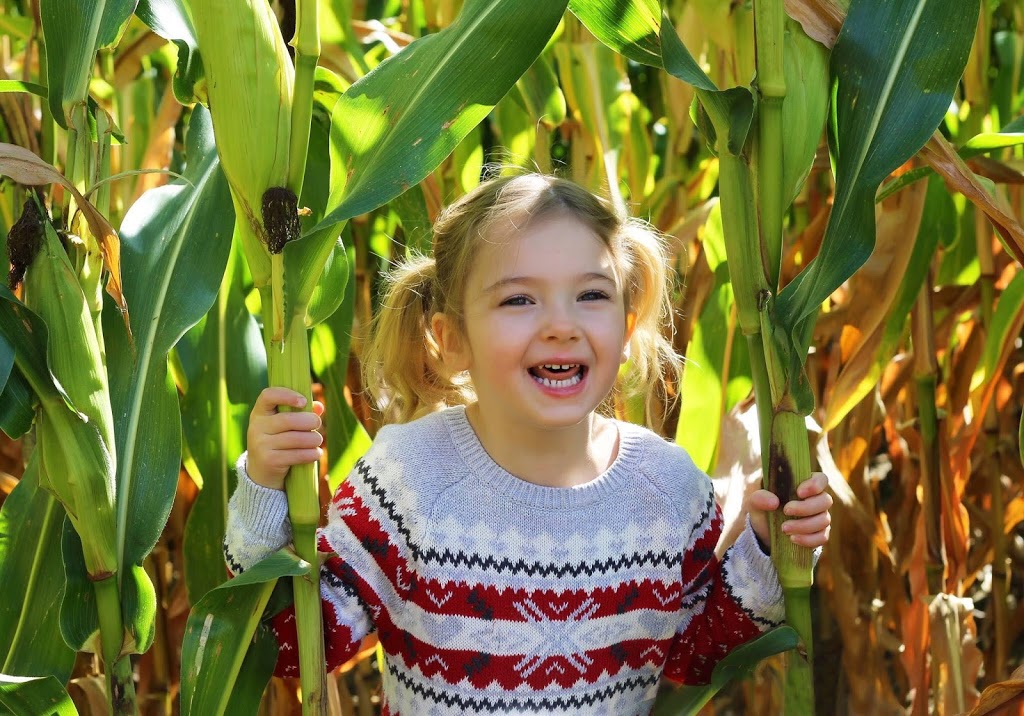 Angel Photography by Robin Lee | Victoria St E, Omemee, ON K0L 2W0, Canada | Phone: (705) 875-4742