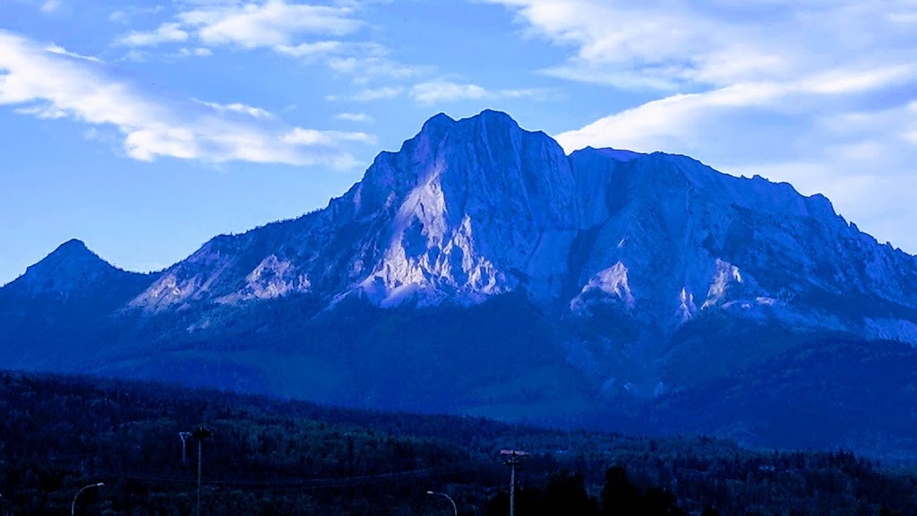 Fernie Garden Centre | 6283 Olivia Rd, Fernie, BC V0B 1M5, Canada | Phone: (250) 423-3666