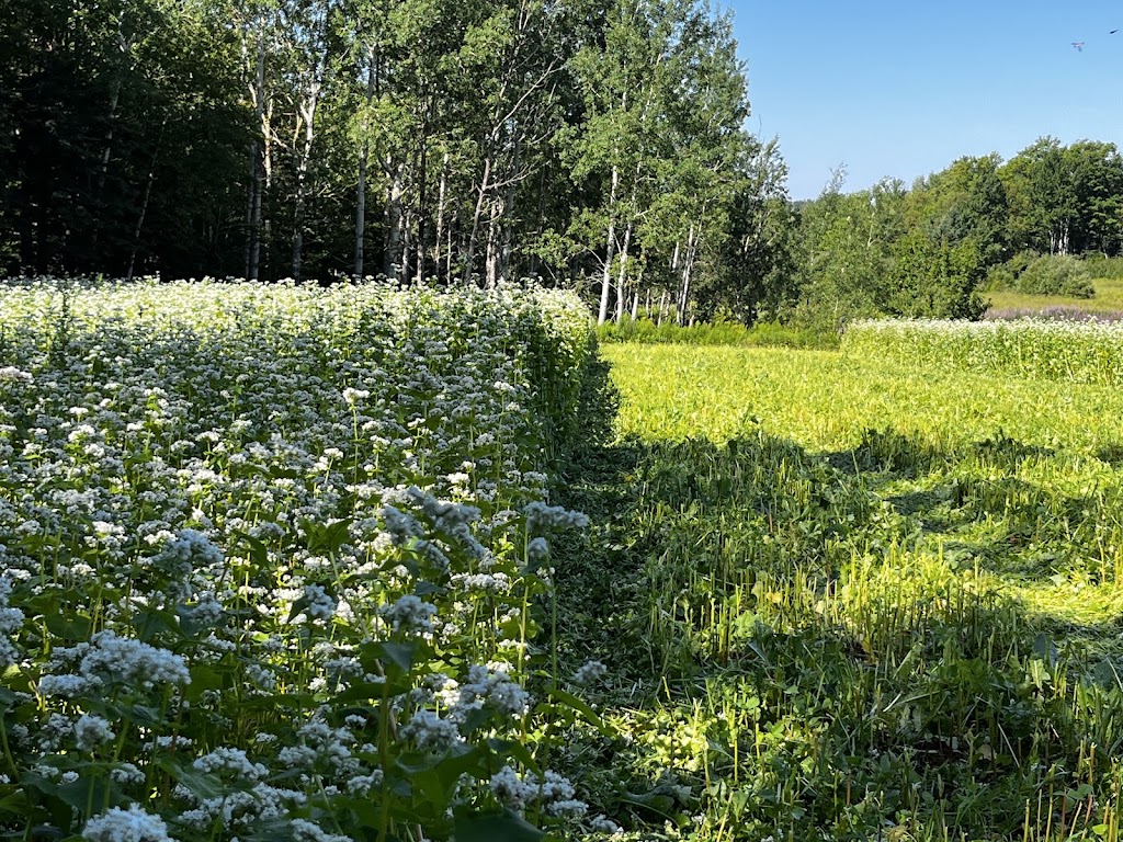 UpBack Farms | 2779 PE-19, Rocky Point, PE C0A 1H2, Canada | Phone: (613) 697-8666