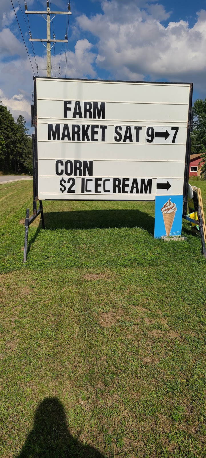 King Of Caesars | 3829 Concession 12 Sunnidale Rd, Stayner, ON L0M 1S0, Canada | Phone: (705) 446-4616