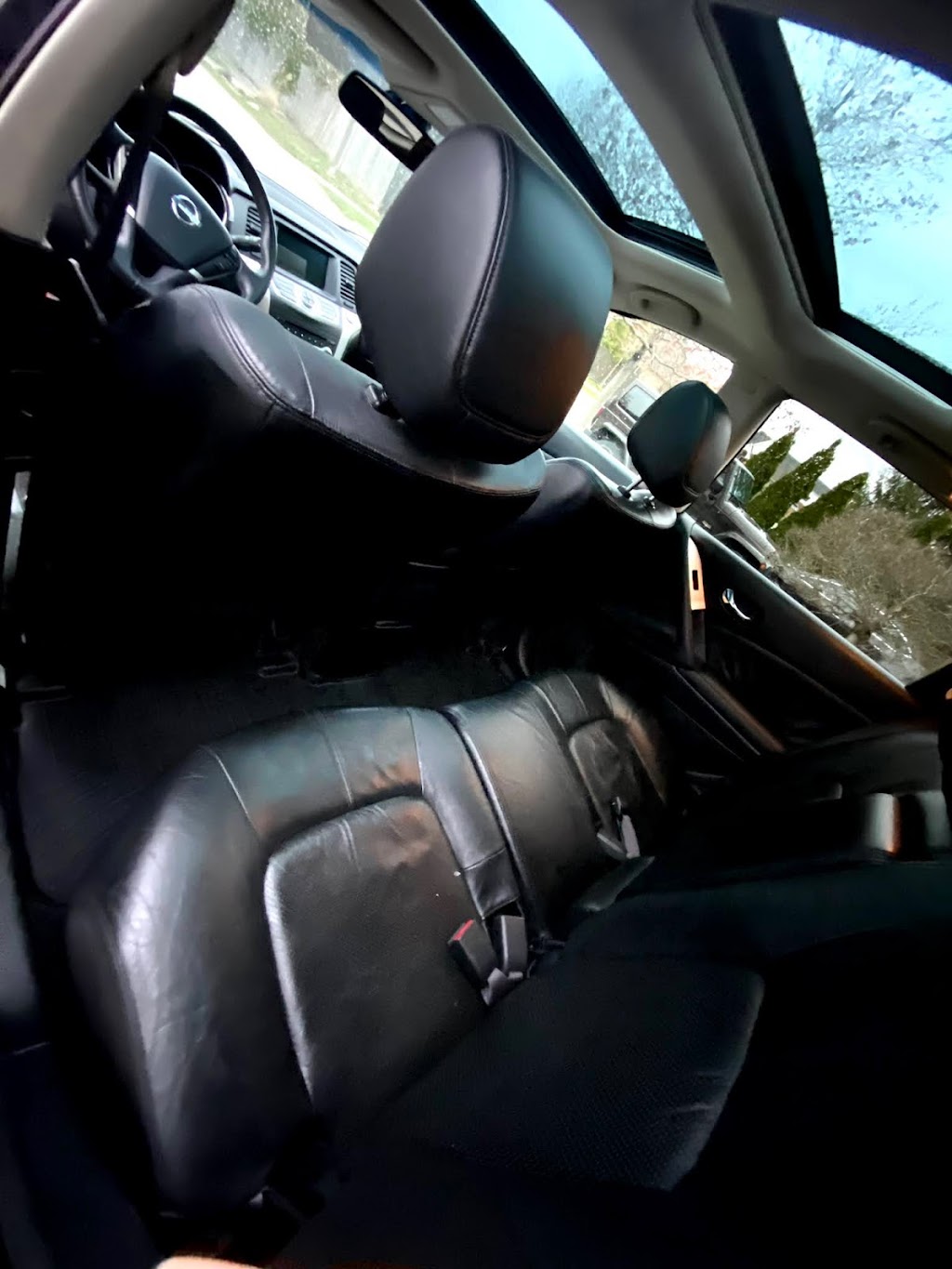 Black Dog Detailing | 43 Caledon Mountain Dr, Belfountain, ON L7K 0G1, Canada | Phone: (647) 549-0512