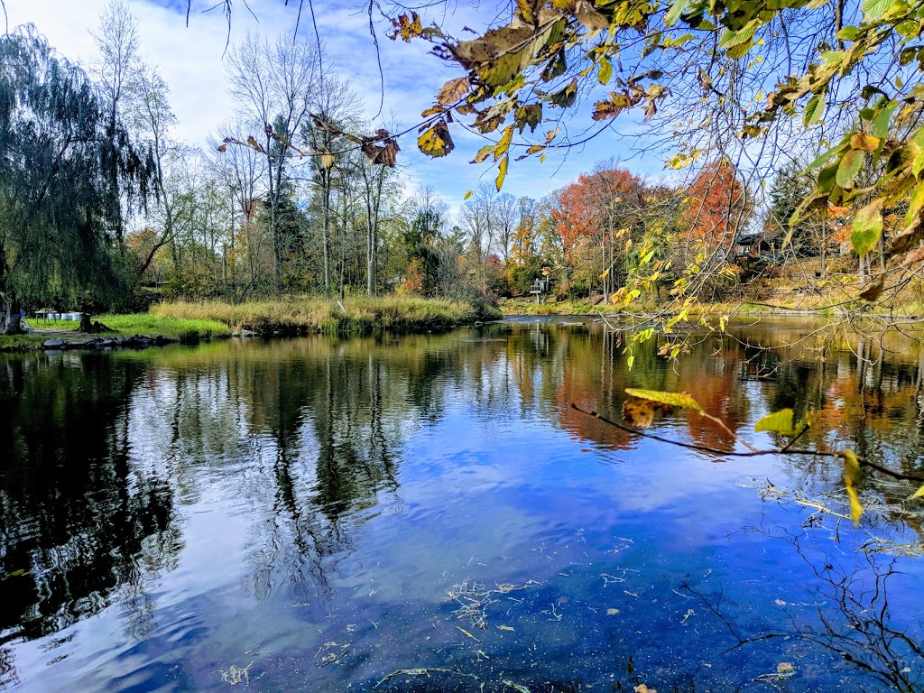 A Y Jackson Park | 1102 Bridge St, Manotick, ON K4M 1J2, Canada