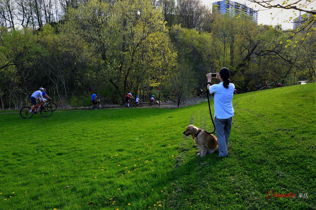 Lower Don Recreation Trail | 701 Lower Don Recreation Trail, Toronto, ON M3C, Canada