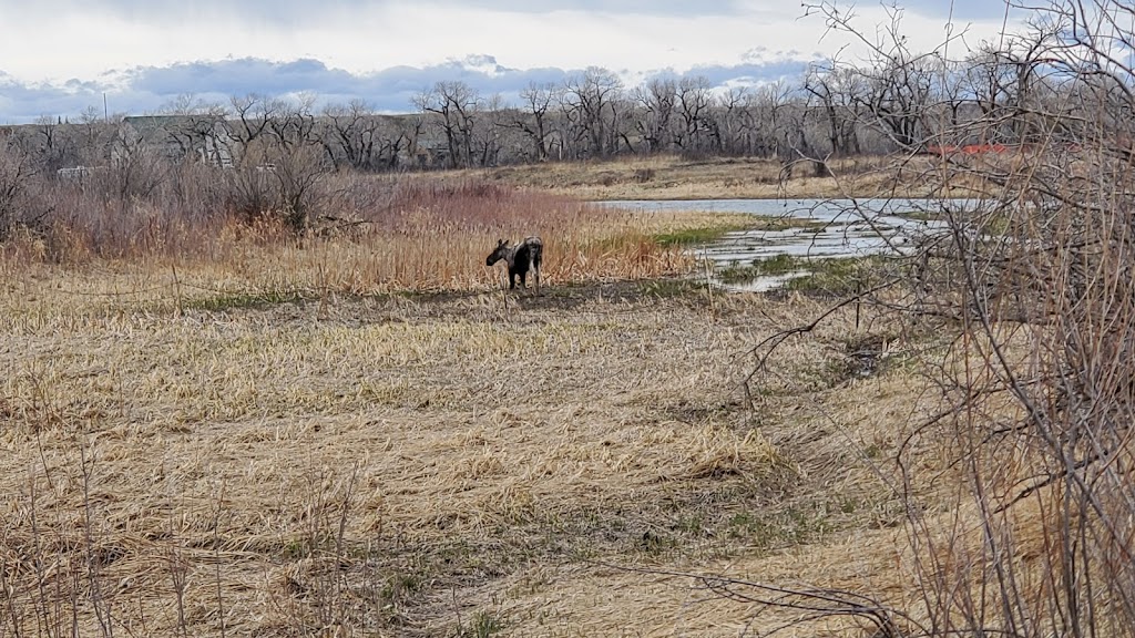River Valley Wilderness Park | AB-811, Macleod, AB T0L 0Z0, Canada | Phone: (403) 553-4101