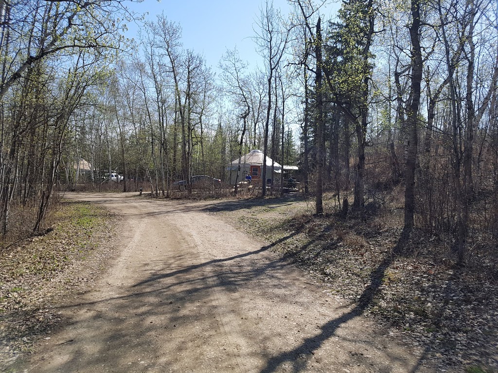 Miquelon Lake Comfort Camping | Camrose County No. 22, AB T0B 2M0, Canada | Phone: (780) 672-7274
