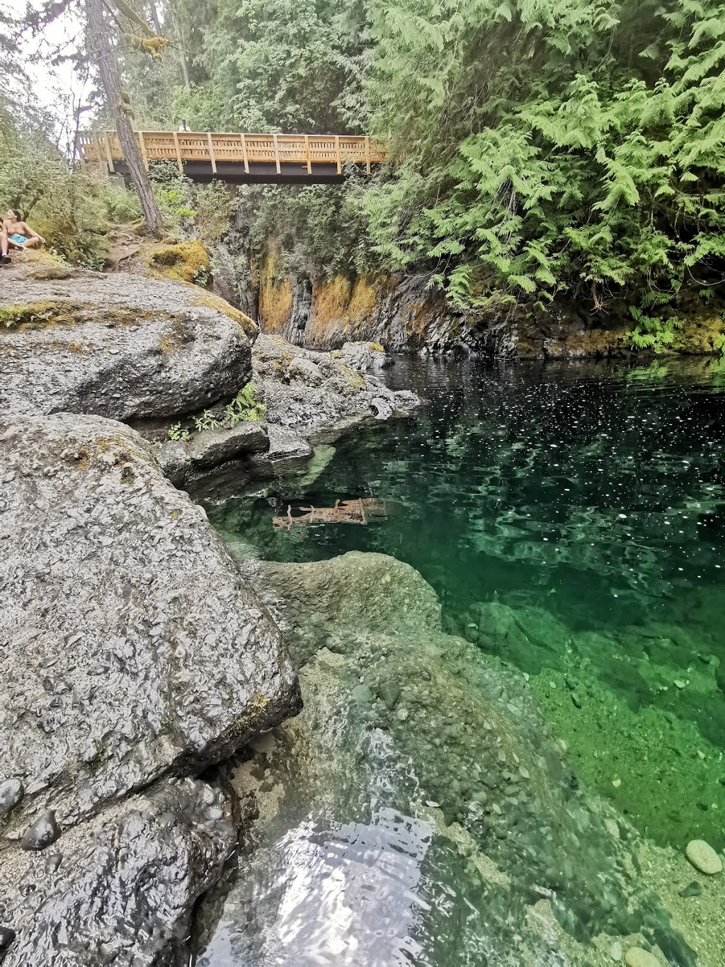 Englishman River Falls (Lower Falls) | Nanaimo F, BC V0R 1V0, Canada | Phone: (250) 474-1336