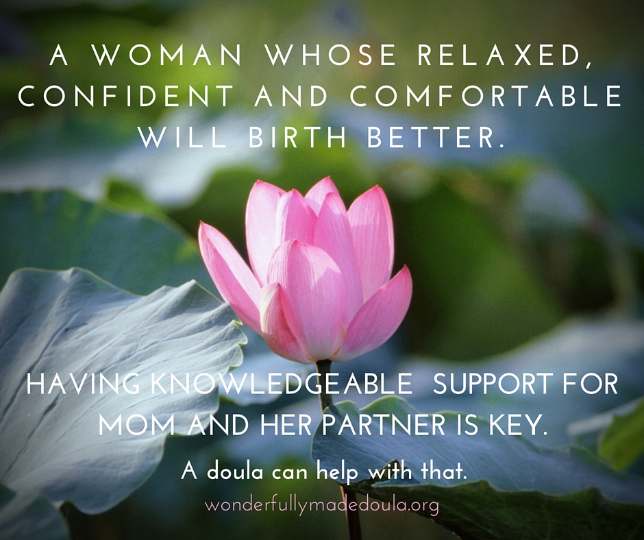 Wonderfully Made Doula Services | 39 Toboggan Hill Dr, Orillia, ON L3V 7R1, Canada | Phone: (705) 305-3047