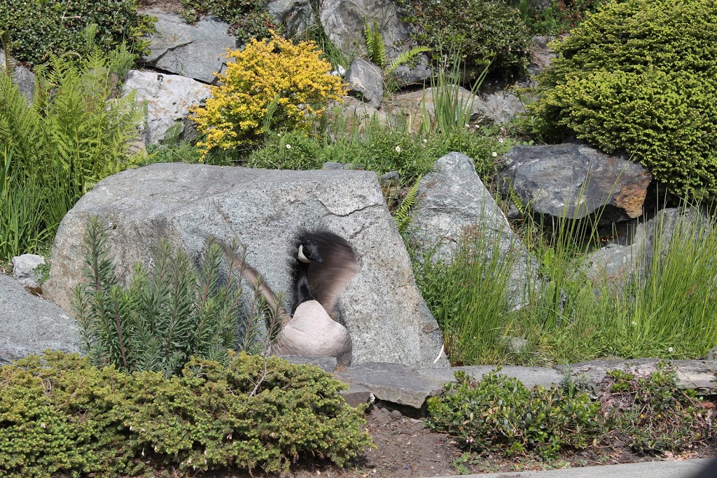 Shoal Point Condominiums | 21 Dallas Rd, Victoria, BC V8V 4Z9, Canada | Phone: (250) 388-6603