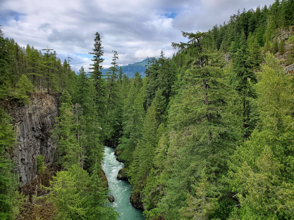 Whistler Bungee Bridge | Calcheak Forest Service Rd, Whistler, BC V0N 1B1, Canada | Phone: (877) 938-9333