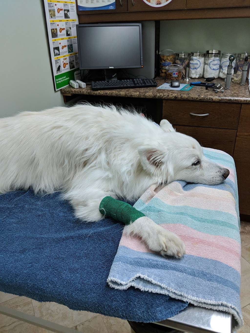 Highland Creek Animal Clinic | 6105 Kingston Rd, Scarborough, ON M1C 1K5, Canada | Phone: (416) 282-9697