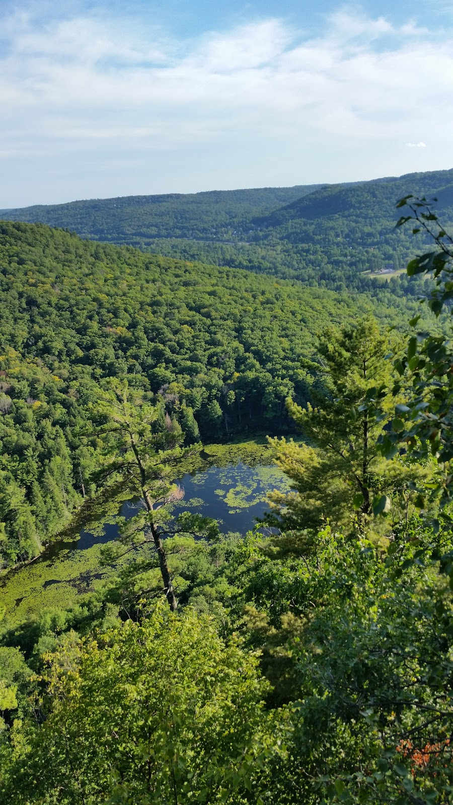 Alfred Kelly Nature Reserve | 1272 Rue de la Traverse, Prévost, QC J0R 1T0, Canada