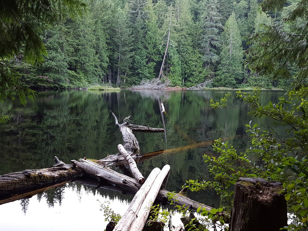 Chuckanut Mountain / Pine & Cedar Lakes County Park | Pine and Cedar Lakes Trail, Bellingham, WA 98229, USA | Phone: (360) 733-2900