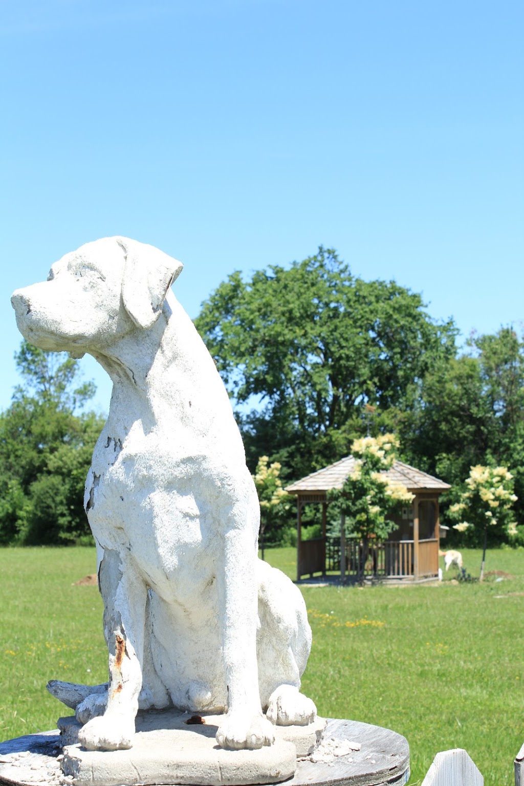 SUNSHINE Pet Memorial Services | 5951 ON-6, Guelph, ON N1H 6J2, Canada | Phone: (519) 787-3886