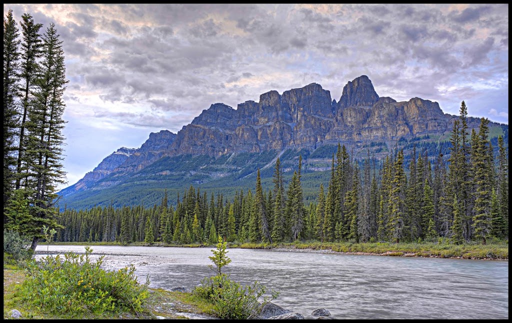 Pixx Imaging | 248 Shawcliffe Cir SW, Calgary, AB T2Y 1H2, Canada | Phone: (403) 836-8207