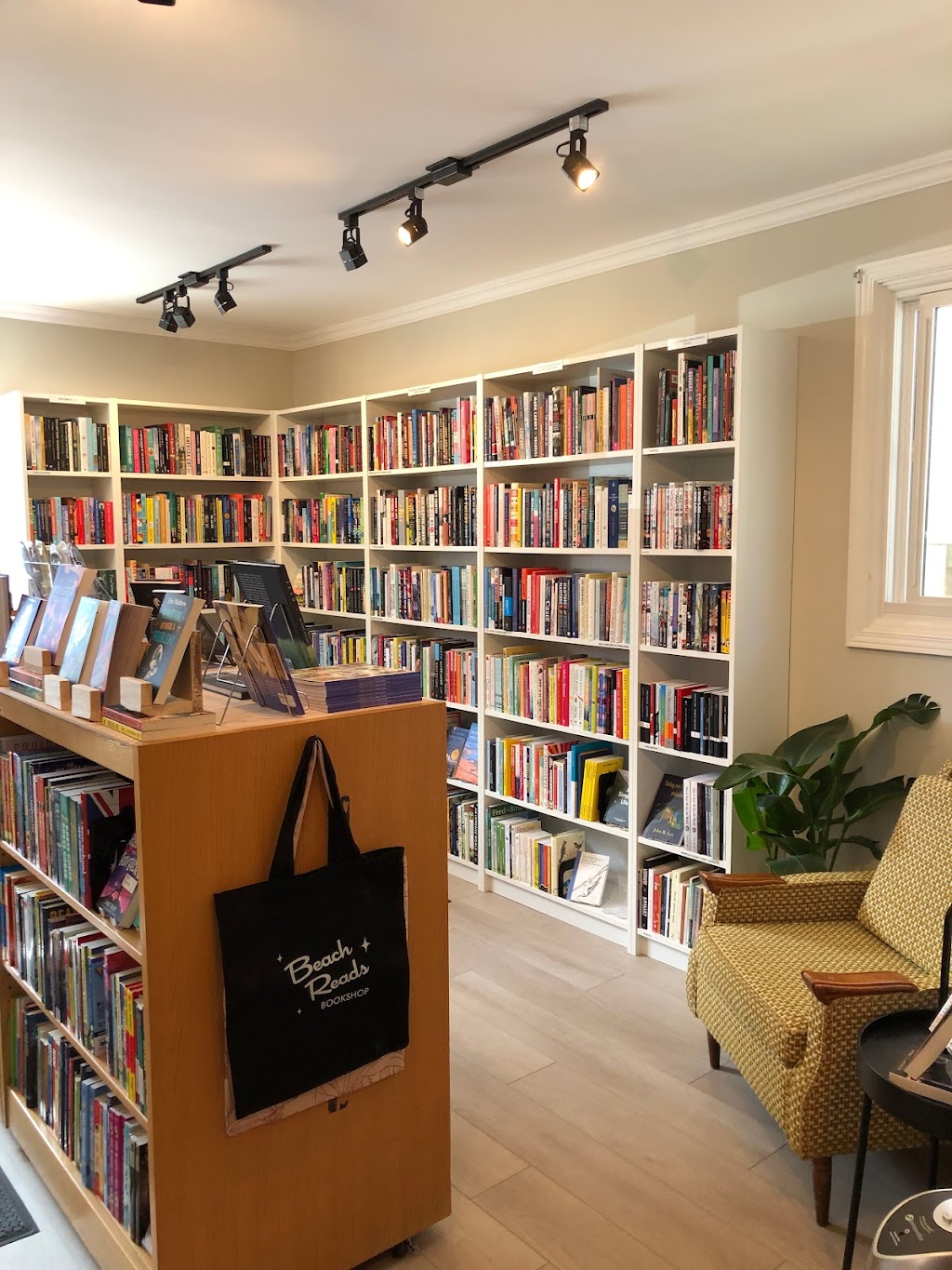 Beach Reads Bookshop | 230 St George St, Port Dover, ON N0A 1N0, Canada | Phone: (519) 583-1787