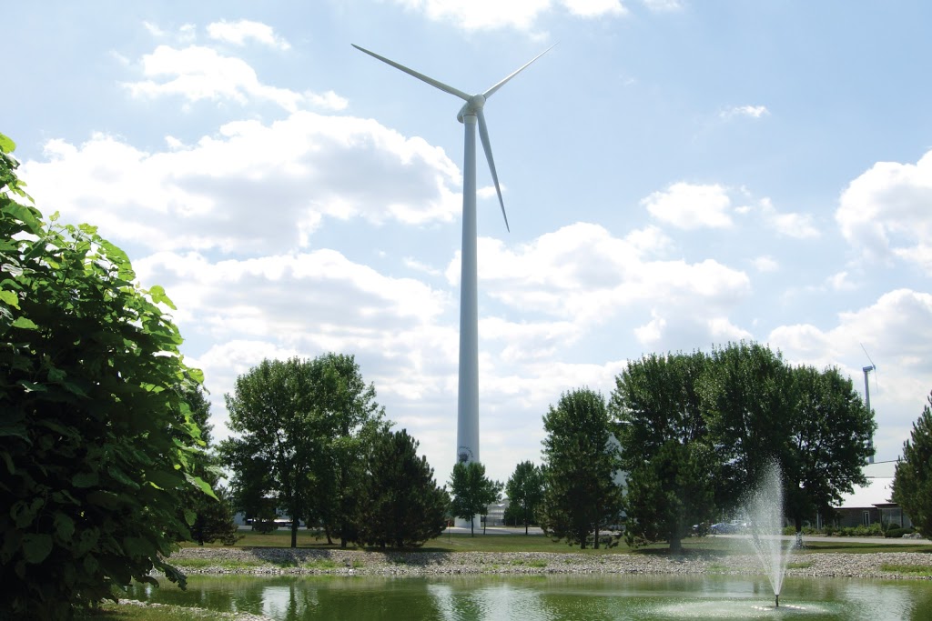 Rosa Flora Limited | 717 Diltz Rd, Dunnville, ON N1A 2W2, Canada | Phone: (905) 774-8044