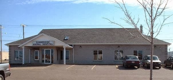 Summerside Animal Hospital | 492 Granville St, Summerside, PE C1N 5Y1, Canada | Phone: (902) 436-2297