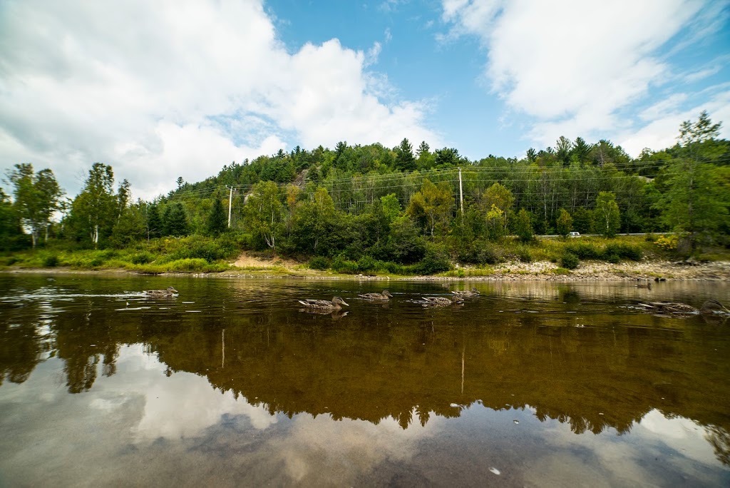 Parc La Conception | Camping VR Parkbridge | 1158 Route des Ormes, La Conception, QC J0T 1M0, Canada | Phone: (819) 686-5596