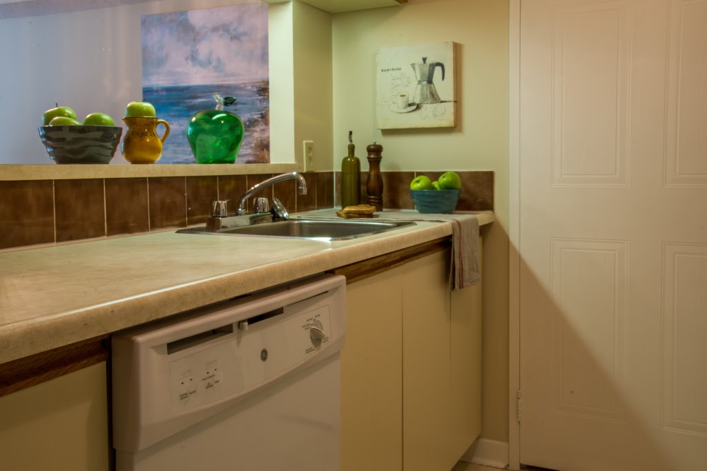 Sophia | 91 Valley Stream Dr, Nepean, ON K2H 9G8, Canada | Phone: (613) 691-6593