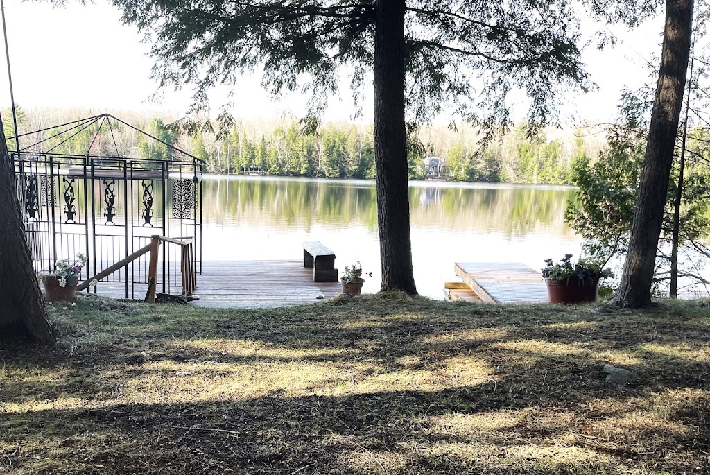 Greater Haliburton Team | 4502 Kennisis Lake Rd, Dysart and Others, ON K0M 1S0, Canada | Phone: (705) 754-1932