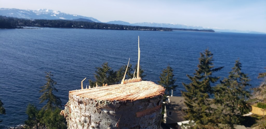 Hemlock Tree Service | 2919 Hemlock Dr, Nanoose Bay, BC V9P 9G2, Canada | Phone: (250) 321-2515