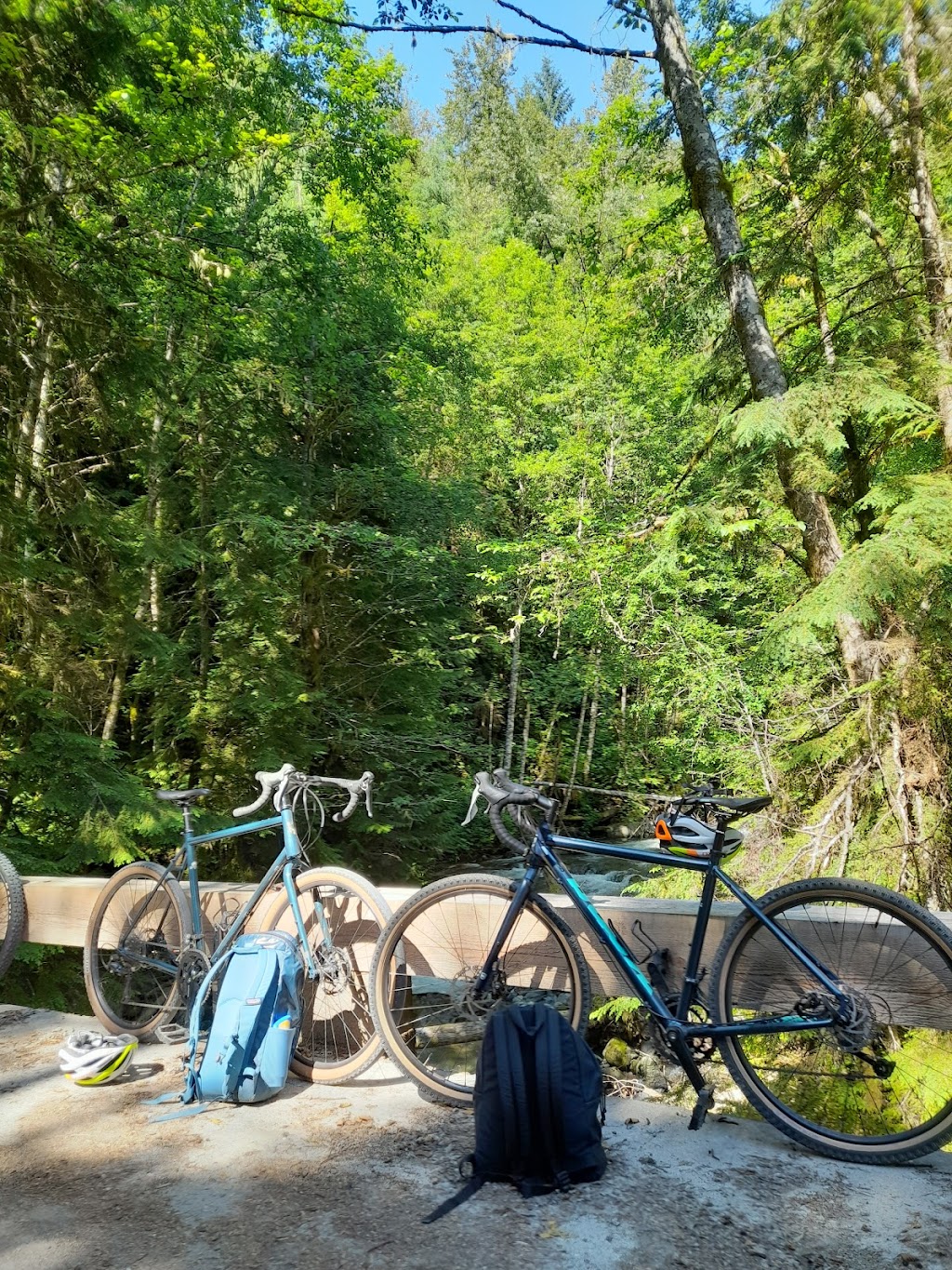 Dialed In Cycling | 1796 Depot Rd E, Squamish, BC V8B 0P6, Canada | Phone: (604) 390-3822