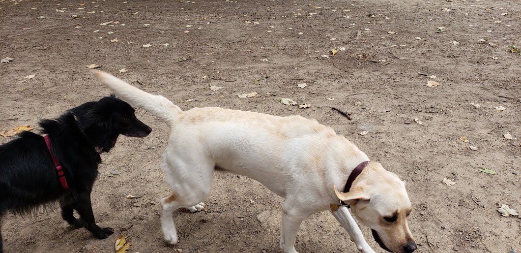 Totoredaca Leash-Free Dog Park | 2715 Meadowvale Blvd, Mississauga, ON L5N 6P8, Canada | Phone: (416) 917-1206