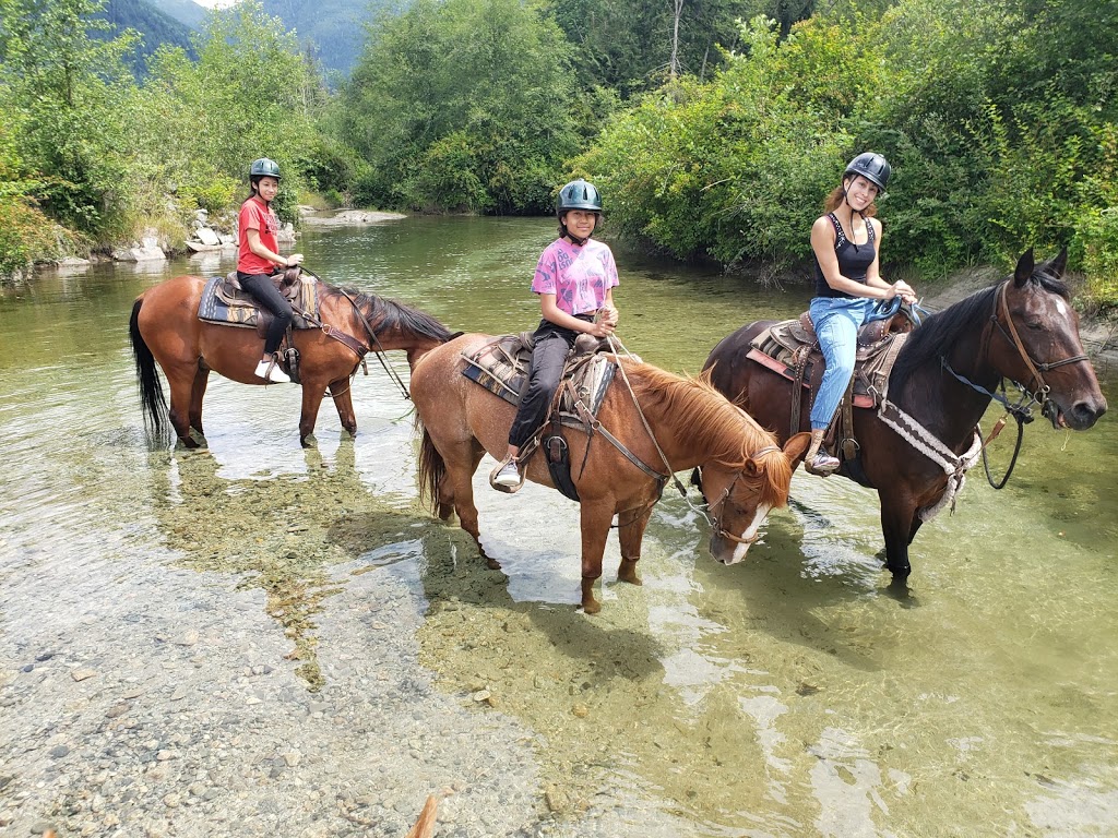 Mustang Riding Stables | 14729 Sylvester Rd, Fraser Valley F, BC V2V 0B9, Canada | Phone: (604) 826-1800