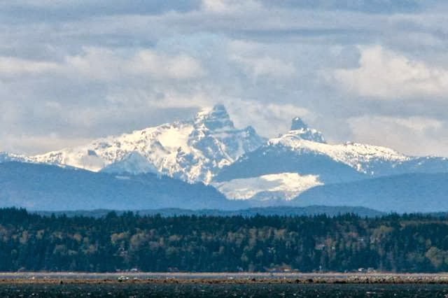 Boathouse - Waterfront Accommodation on Cortes Island | Seascape Rd, Mansons Landing, BC V0P 1K0, Canada | Phone: (250) 935-6795