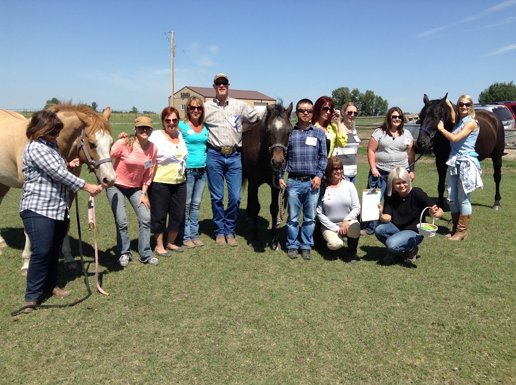 Equine Connection - The Academy of Equine Assisted Learning | 264039a Township Rd 224, Carseland, AB T0J 0M0, Canada | Phone: (403) 560-1153