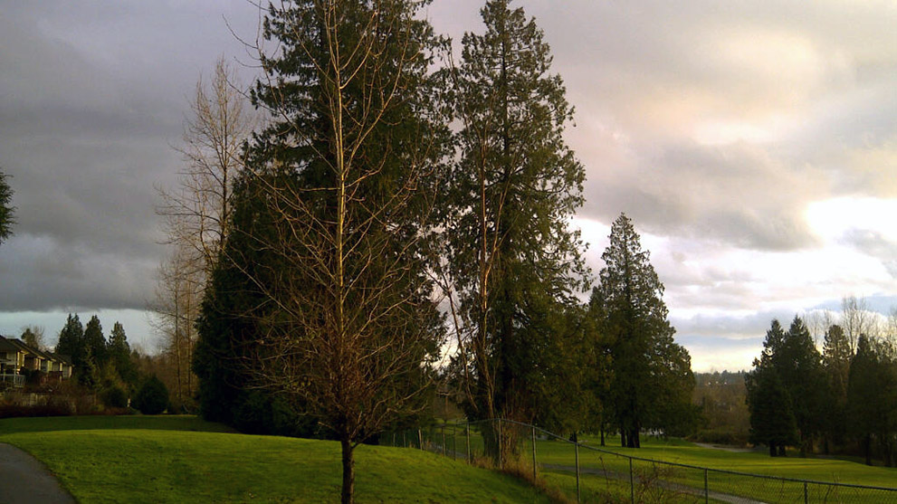Sequoia Ridge Park | 15220 80 Ave, Surrey, BC V3S 8N4, Canada