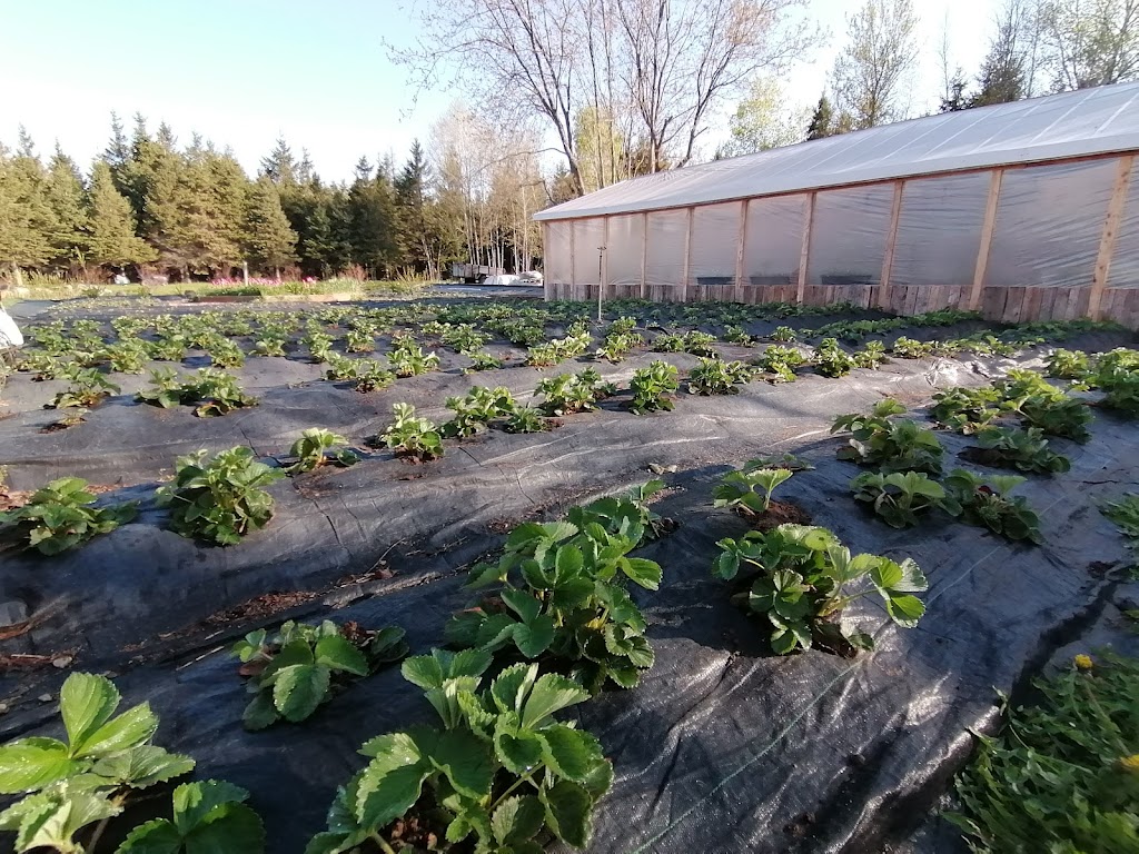 Les Jardins Sangeo | 935 16e Rang O, Villeroy, QC G0S 3K0, Canada | Phone: (819) 352-9408