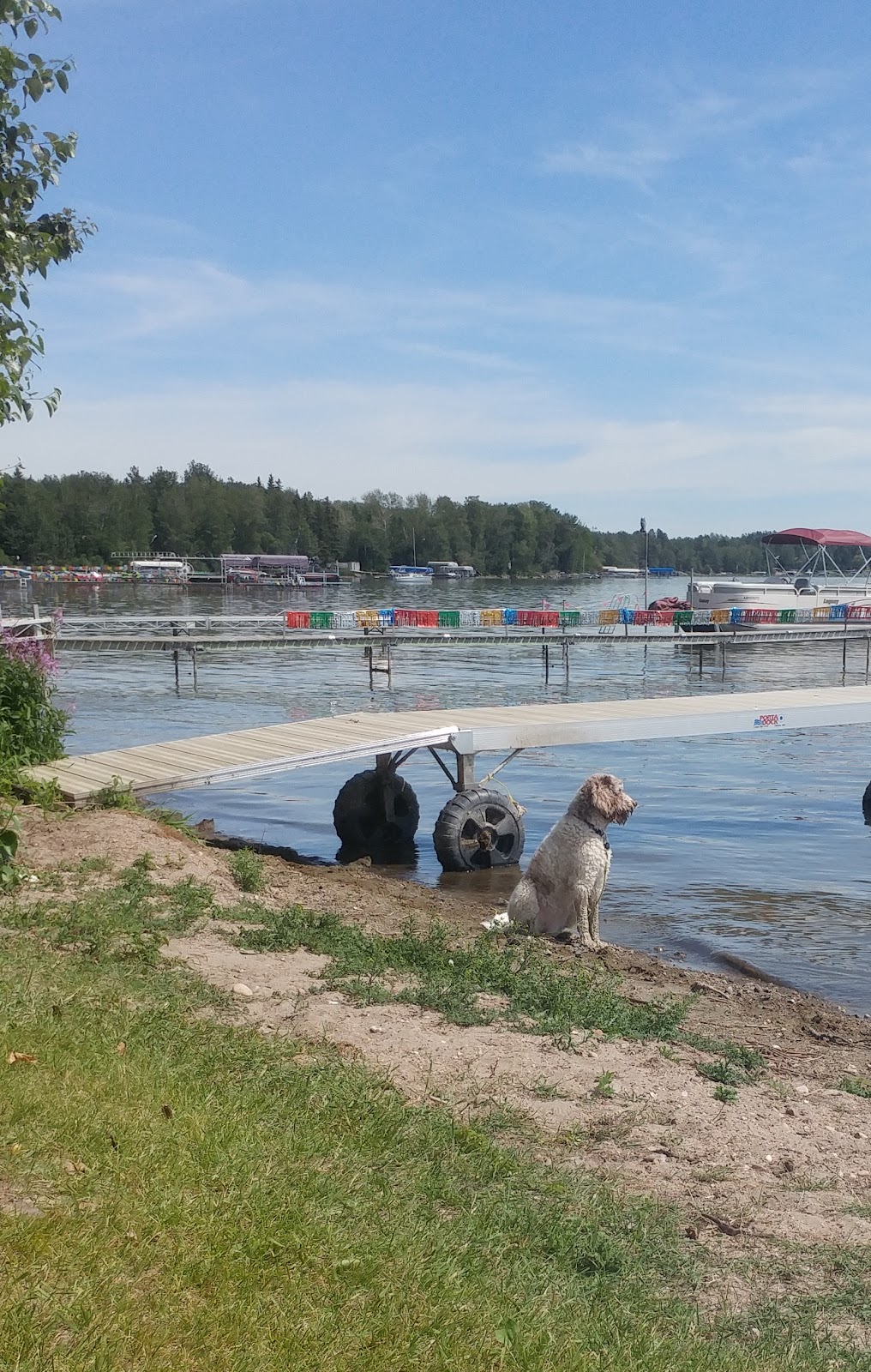 Mission Beach Community Park | Leduc County, AB T0C 2C0, Canada