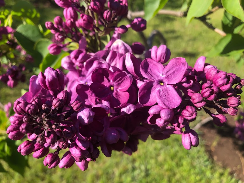 Jardins de Cap-à-l'Aigle - 625 Rue St Raphaël, La Malbaie, QC G5A 2N8 ...