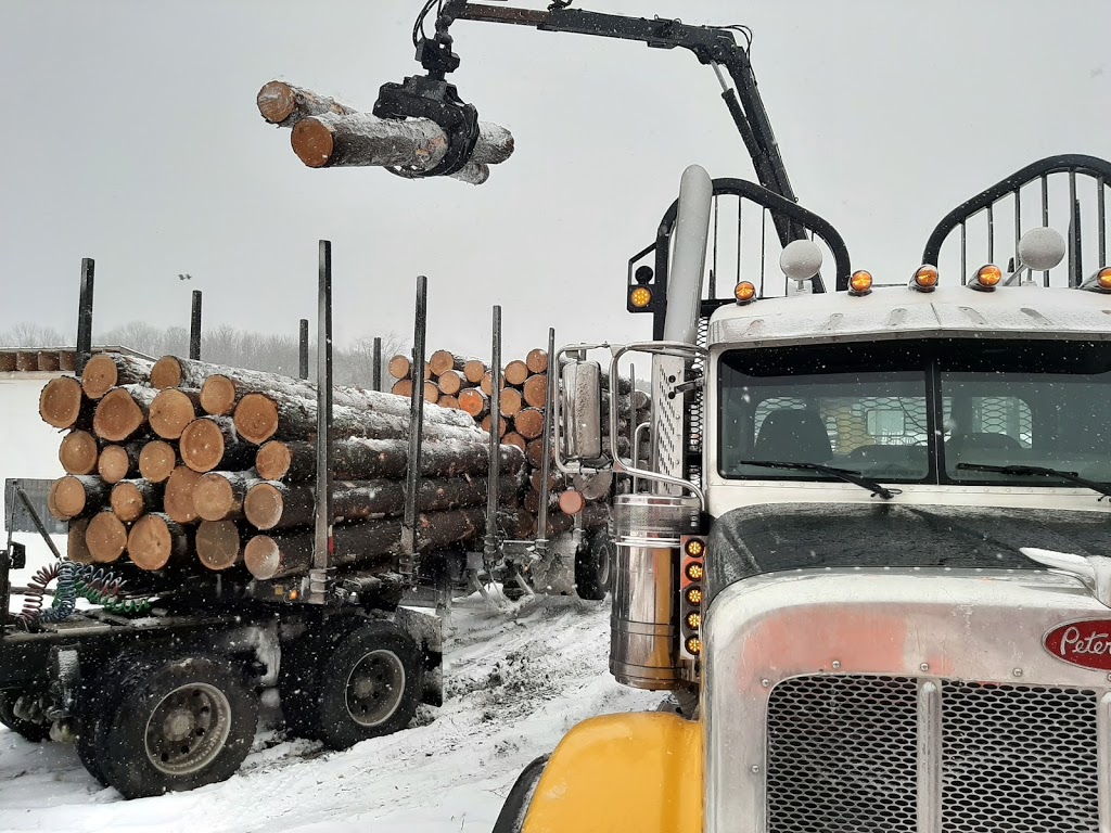 Moggie Valley Timber | 684063, Side Rd 30, Holland Centre, ON N0H 1R0, Canada | Phone: (519) 794-0018