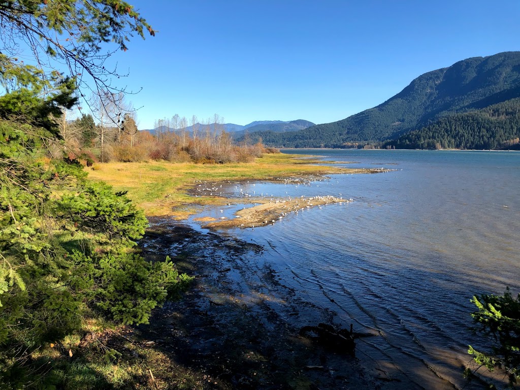 Swaggin point lookout | Fraser Valley C, BC V0M 1A1, Canada