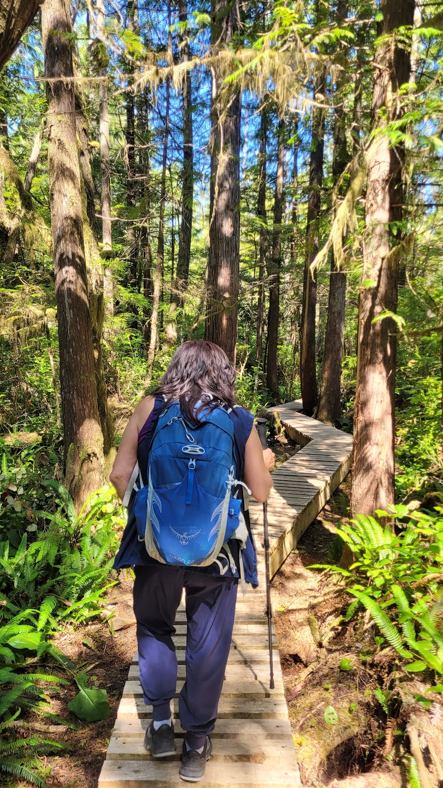 Kiixin Tours | East Government Dock, 226 Frigate Rd, Bamfield, BC V0R 1B0, Canada | Phone: (250) 735-3432