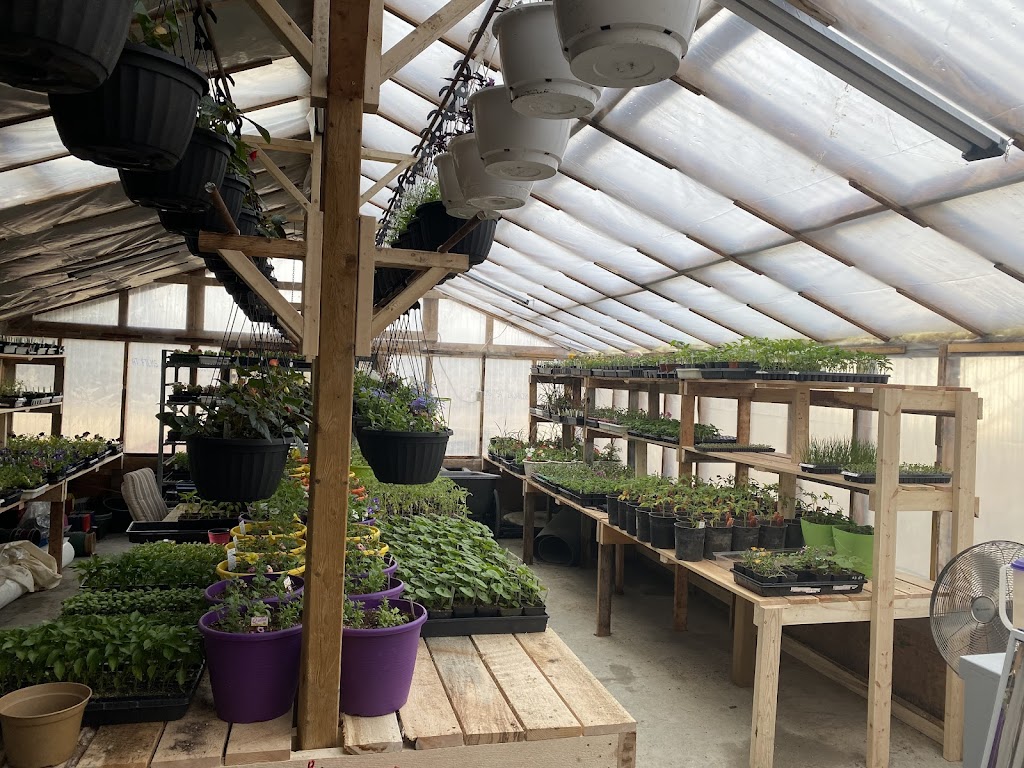 Wilderness Gardens | Box 7863, 8424 TWP 502, Drayton Valley, AB T7A 1S9, Canada | Phone: (780) 898-0948