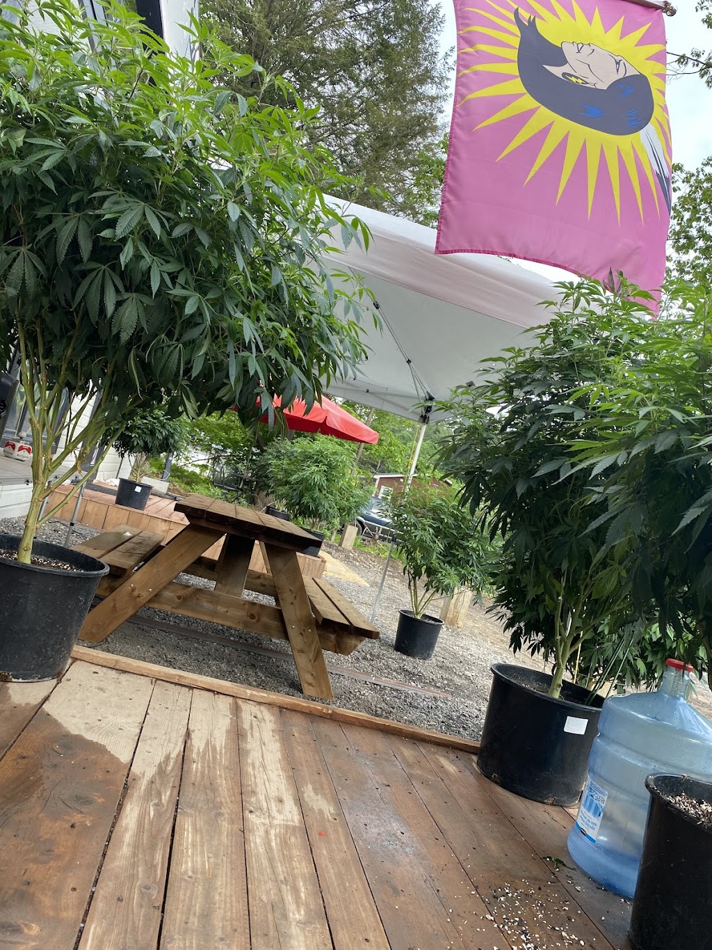 The Medicine Wheel Oka | 435 Rue St Michel, Oka, QC J0N 1E0, Canada | Phone: (514) 929-4420